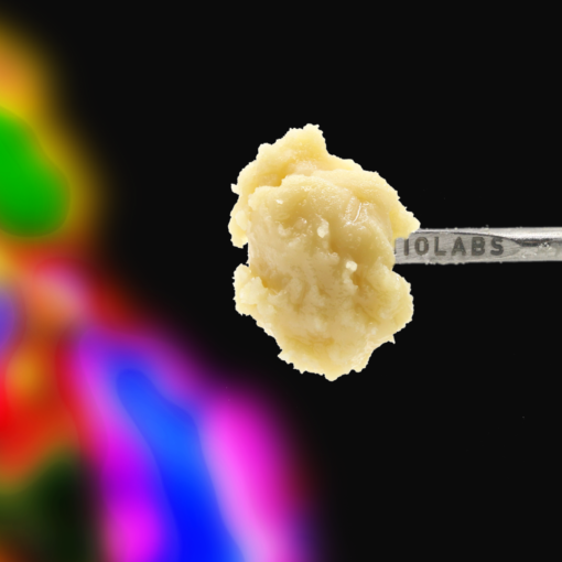 710 Labs Live Rosin Badder
