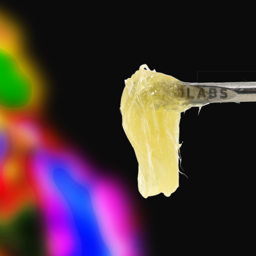 710 labs persy rosin